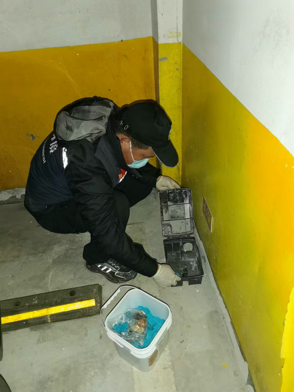消杀现场