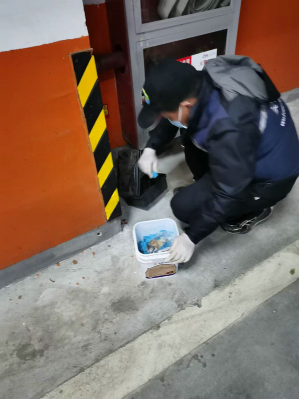 消杀现场