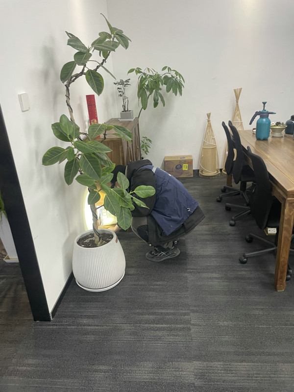 消杀现场