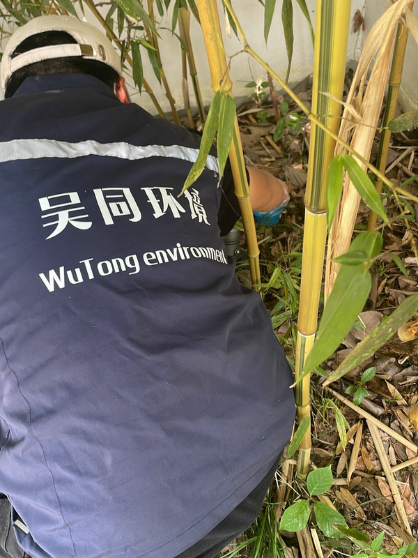 消杀现场