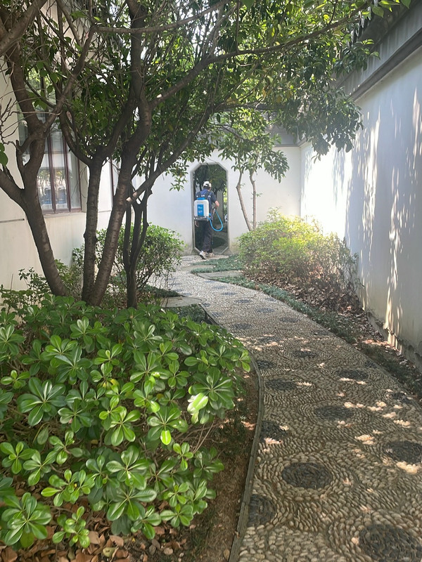 消杀现场