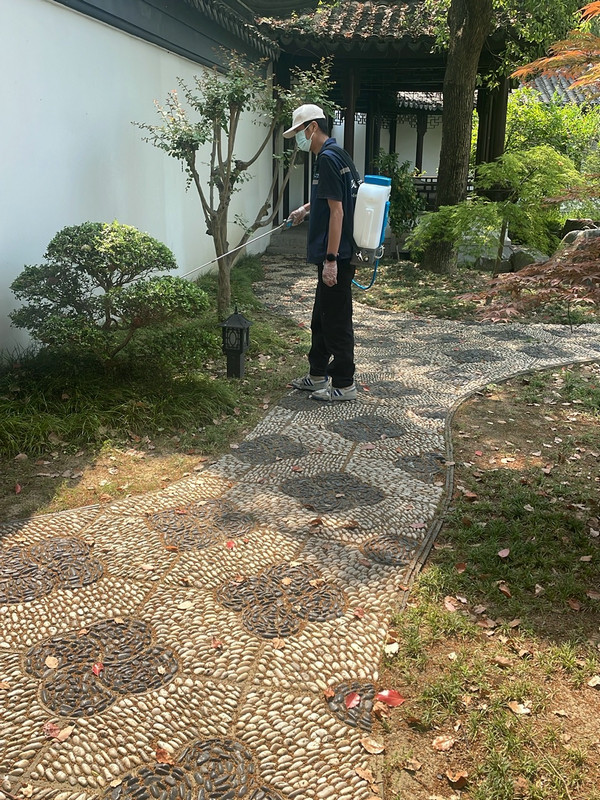 消杀现场