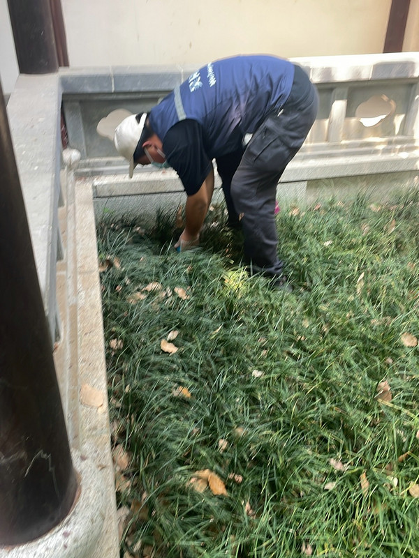 消杀现场