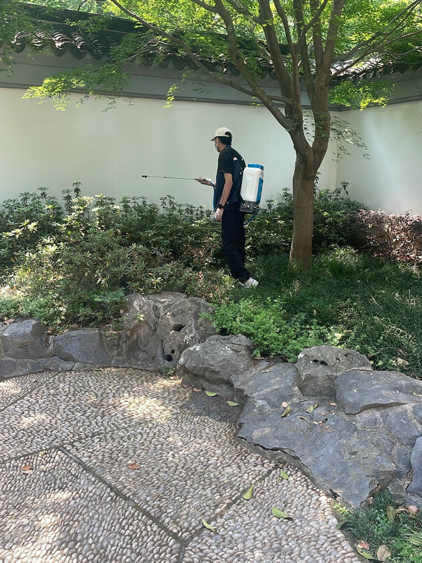 消杀现场