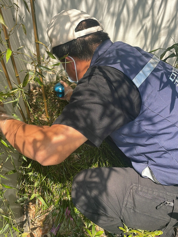 消杀现场