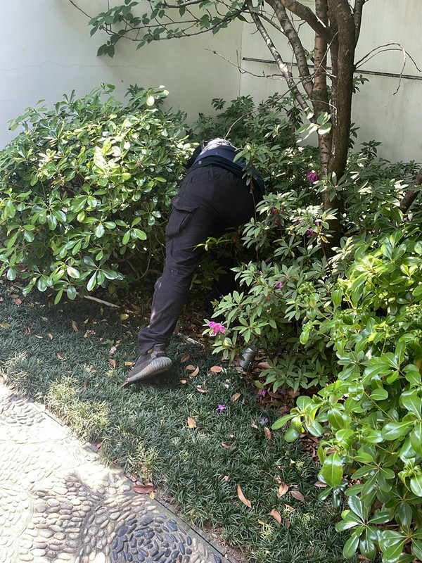 消杀现场