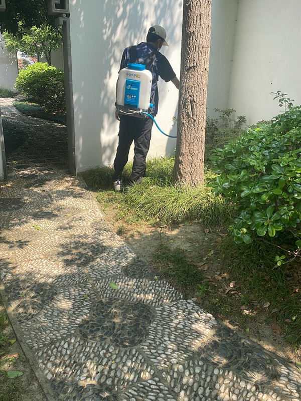 消杀现场
