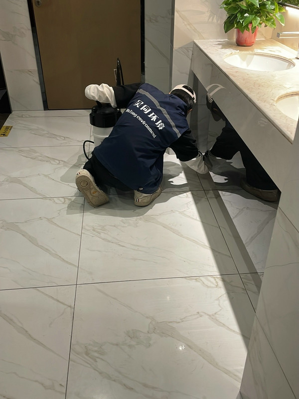 消杀现场