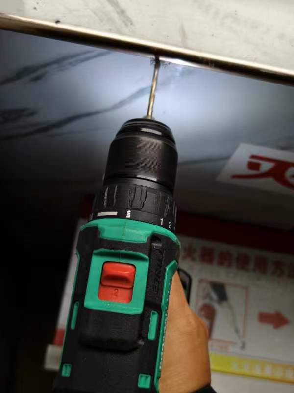 白蚁现场