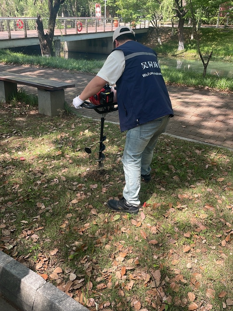 白蚁现场