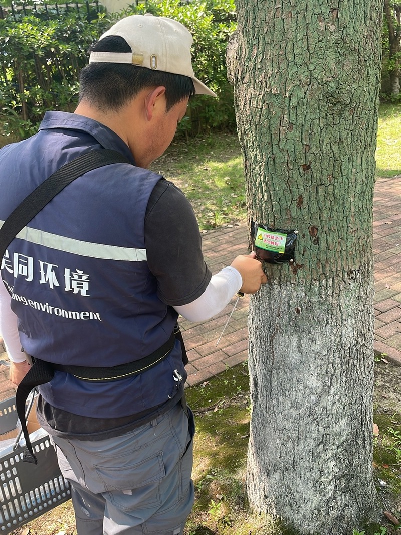 白蚁现场