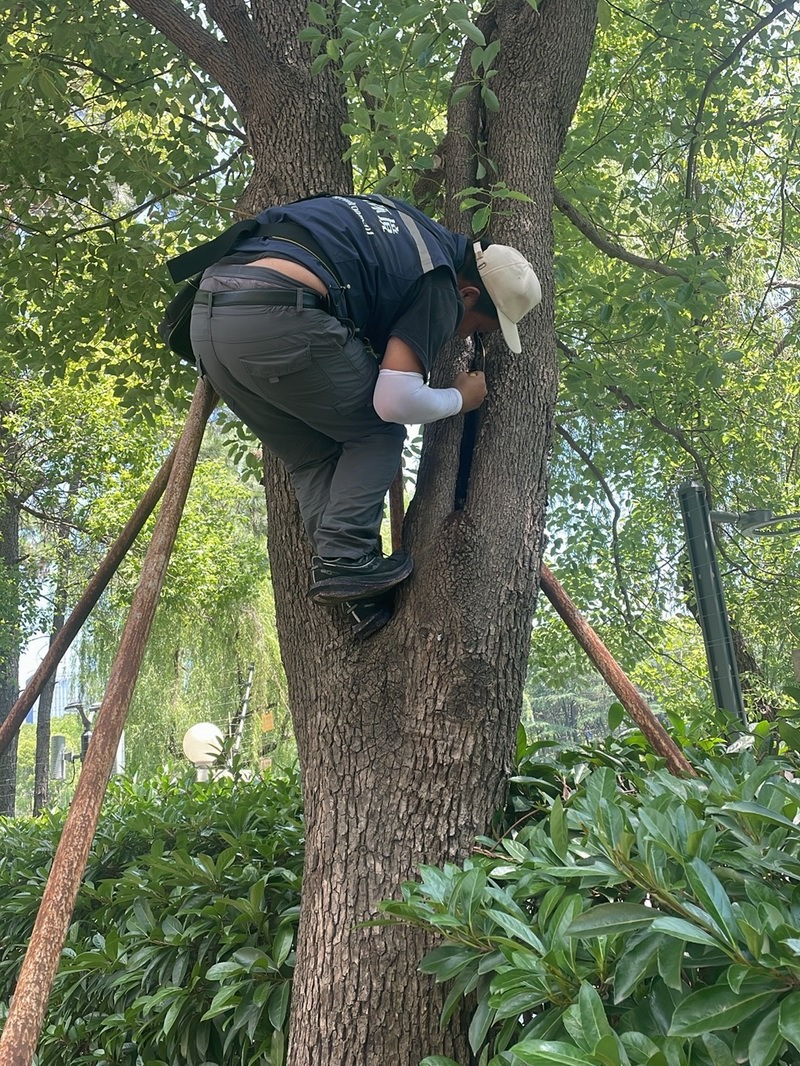 白蚁现场