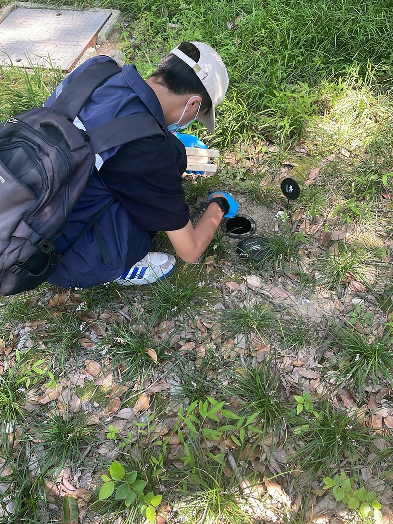 白蚁现场