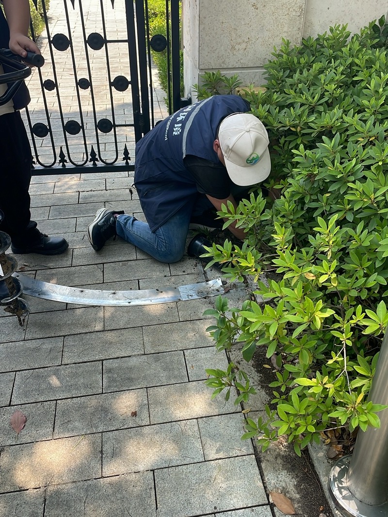 白蚁现场