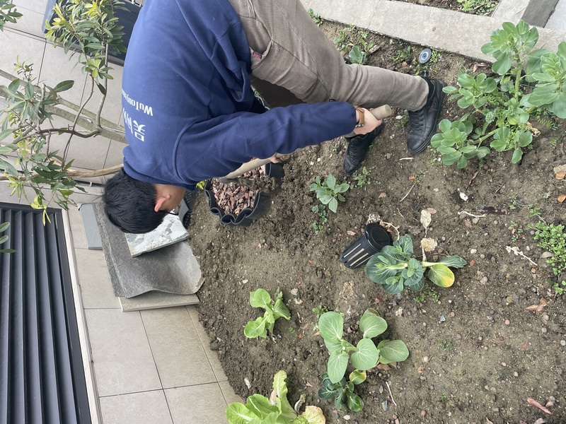 白蚁现场
