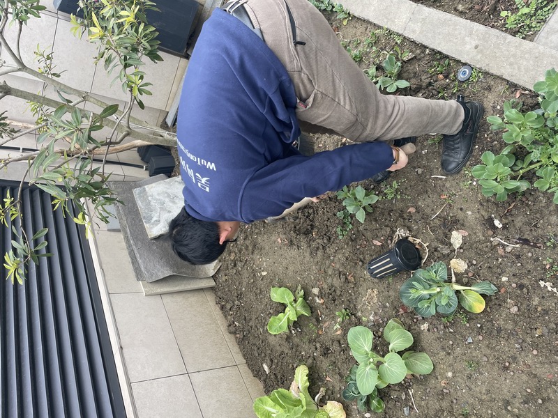 白蚁现场