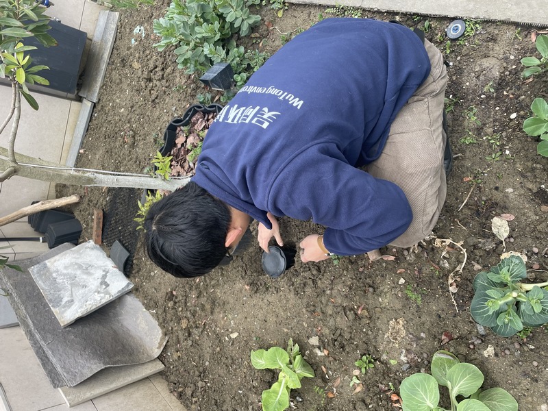 白蚁现场