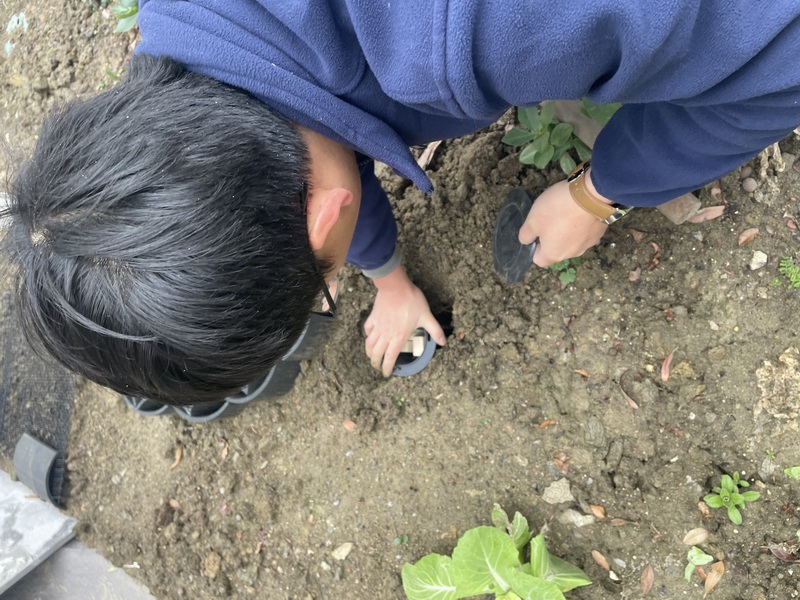 白蚁现场
